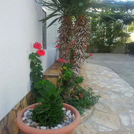Vila Nada Borik