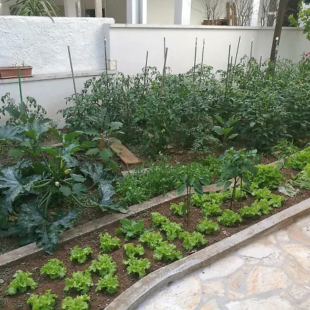 Apartament Vila Nada Borik *