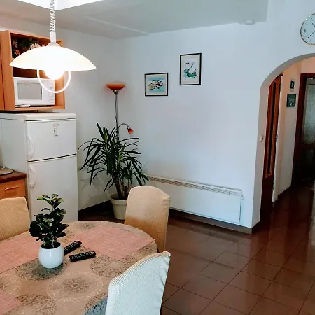 Apartment Nada Borik *