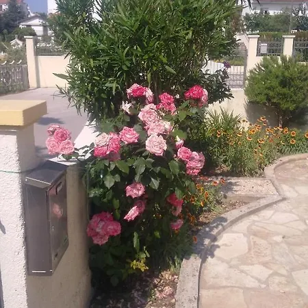 Nada Borik * Zadar