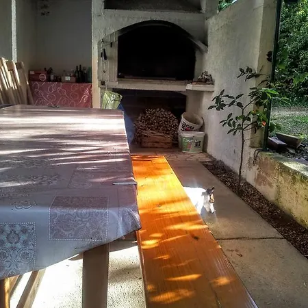 Nada Borik Zadar