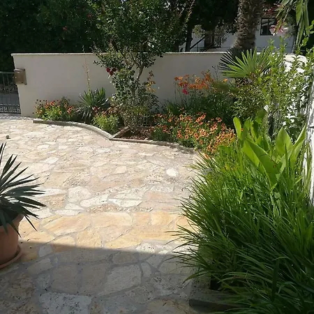 Nada Borik * Zadar